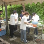 キャンプのようすです キャンプのようすです