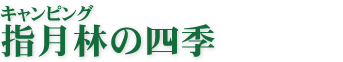 指月林の四季