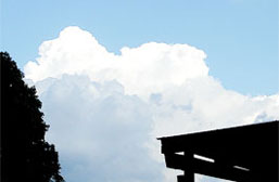 夏の写真 青空