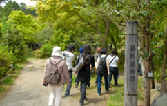 染料植物園